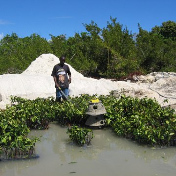 stevesmangroves5_012