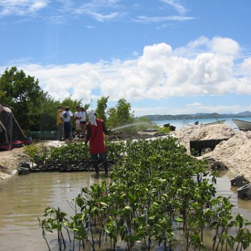 stevesmangroves5_013