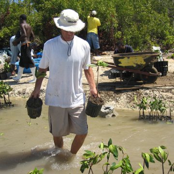 stevesmangroves5_016