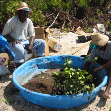 stevesmangroves5_023