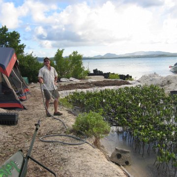 stevesmangroves5_034