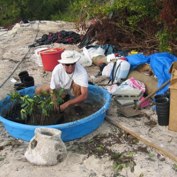 stevesmangroves5_036