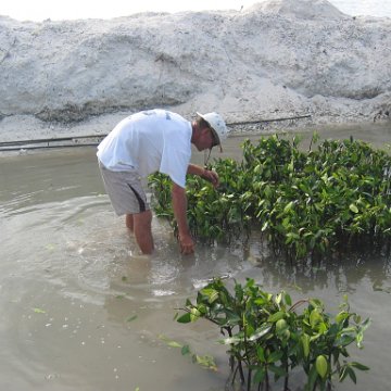 stevesmangroves5_038