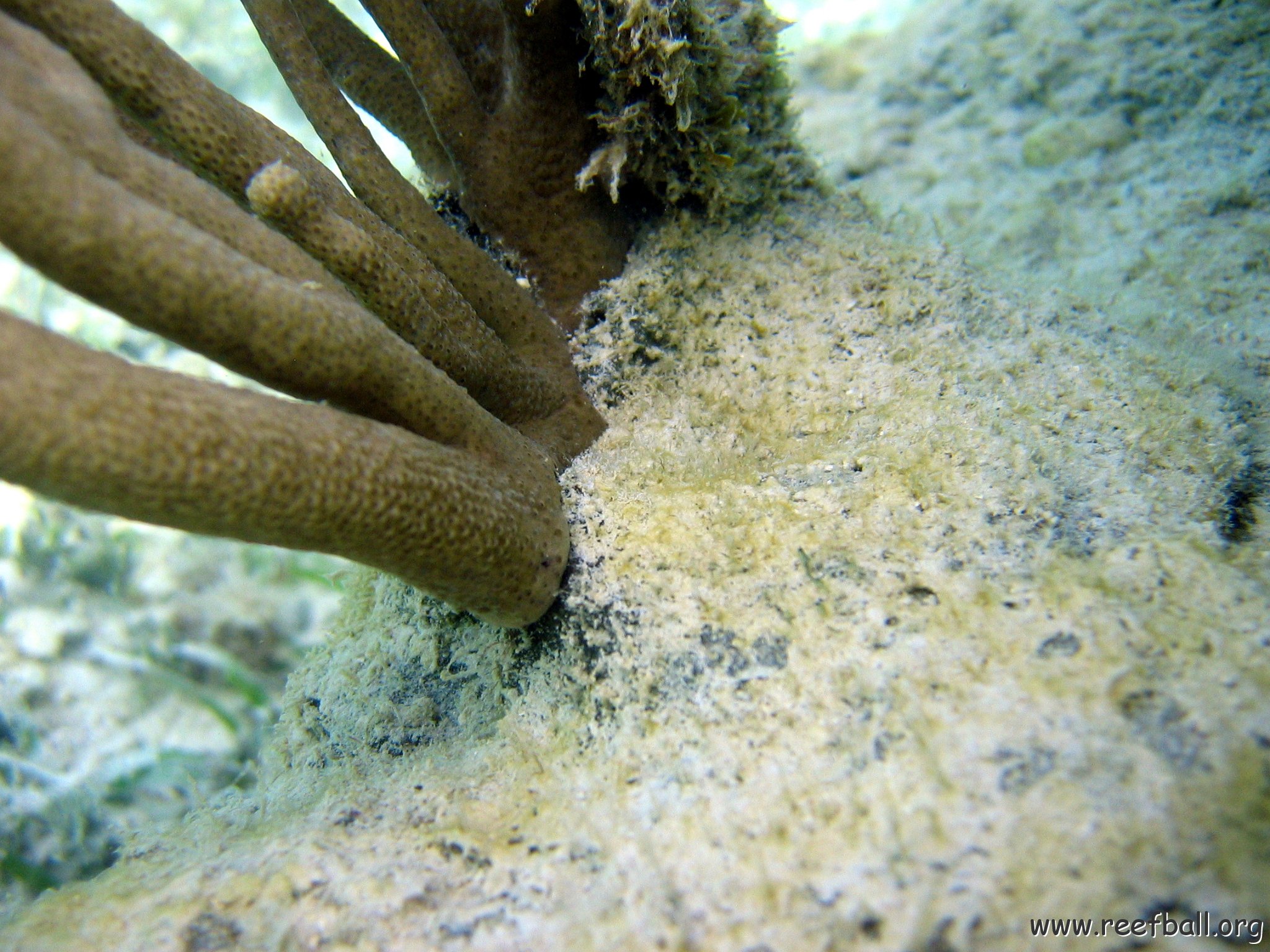 snorkeltrail_001