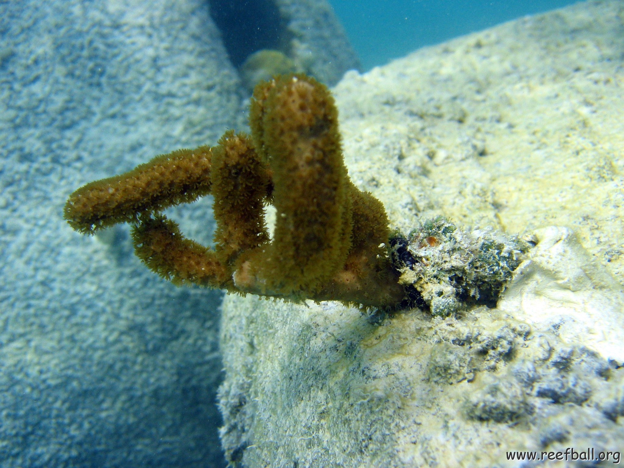 snorkeltrail_002