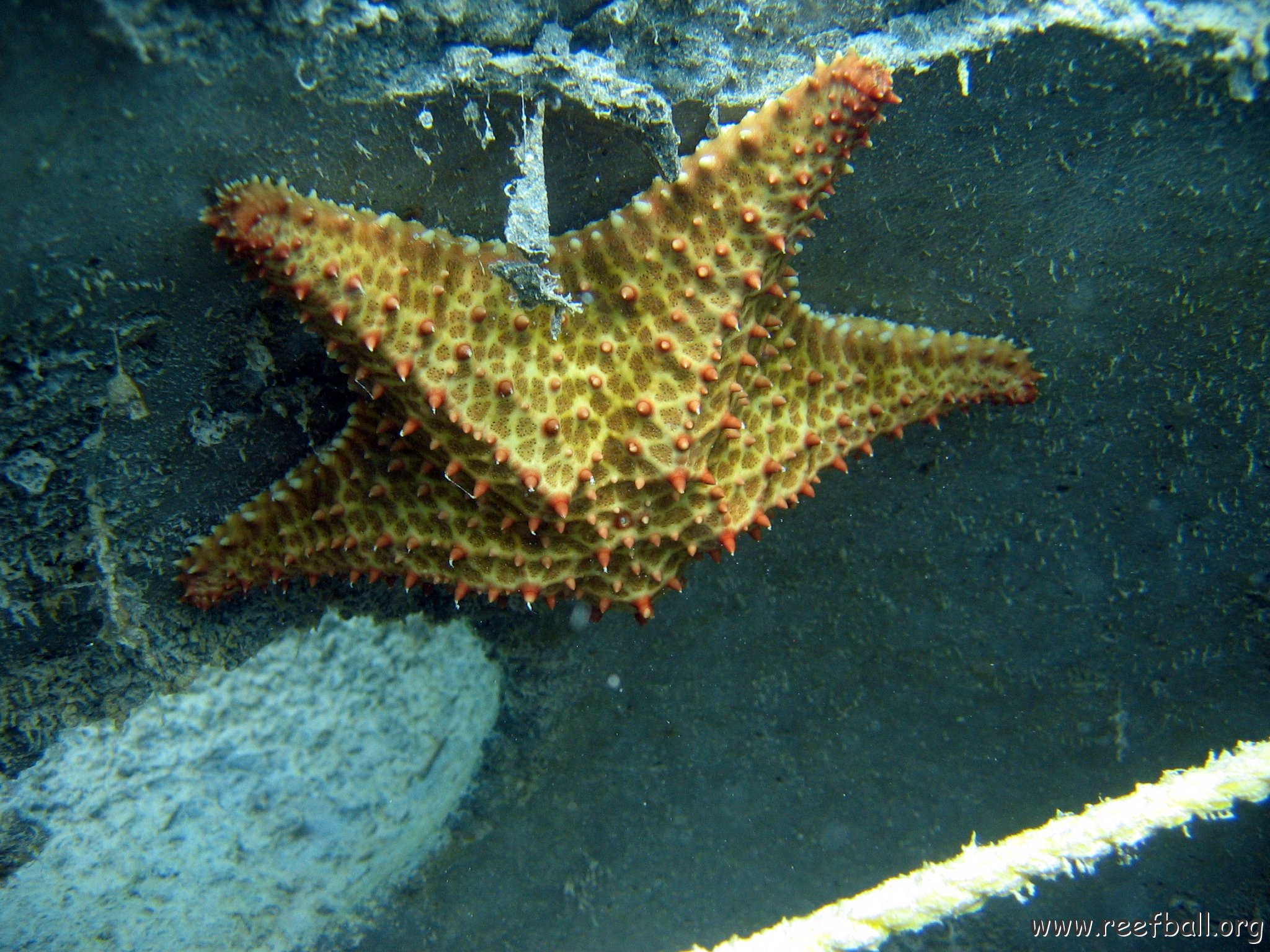 snorkeltrail_004