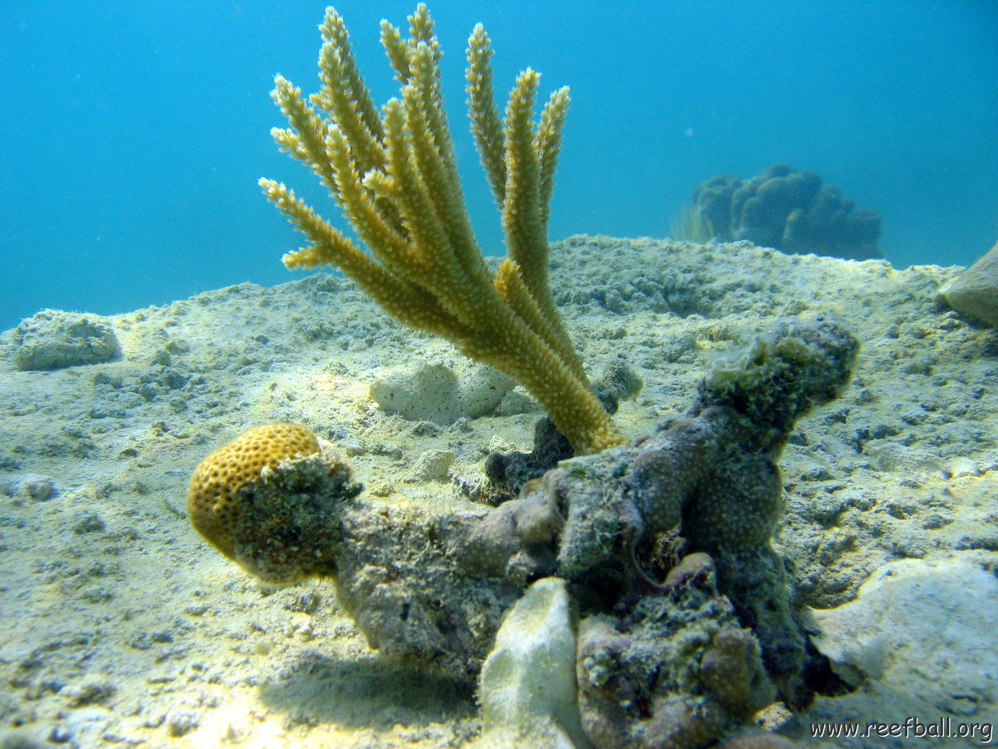 snorkeltrail_009