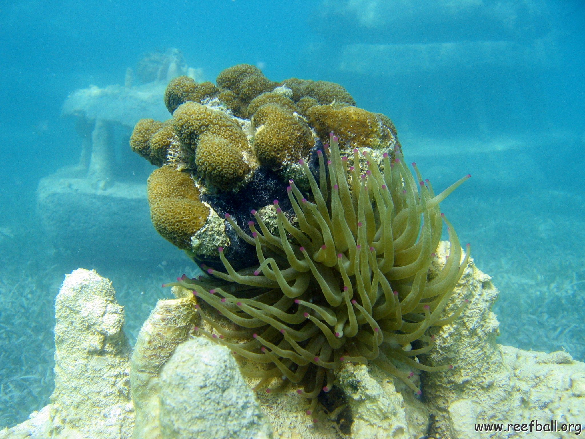 snorkeltrail_012