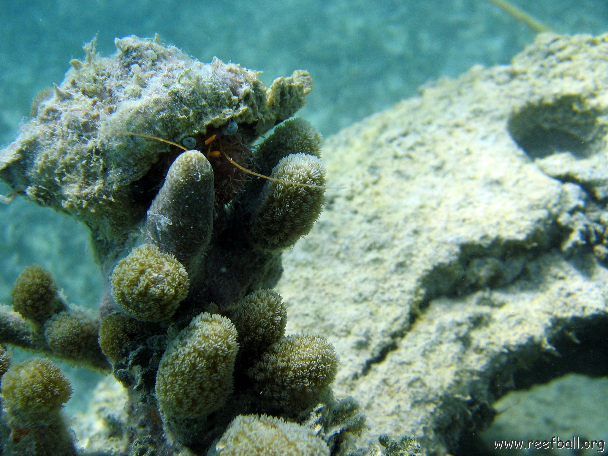 snorkeltrail_027