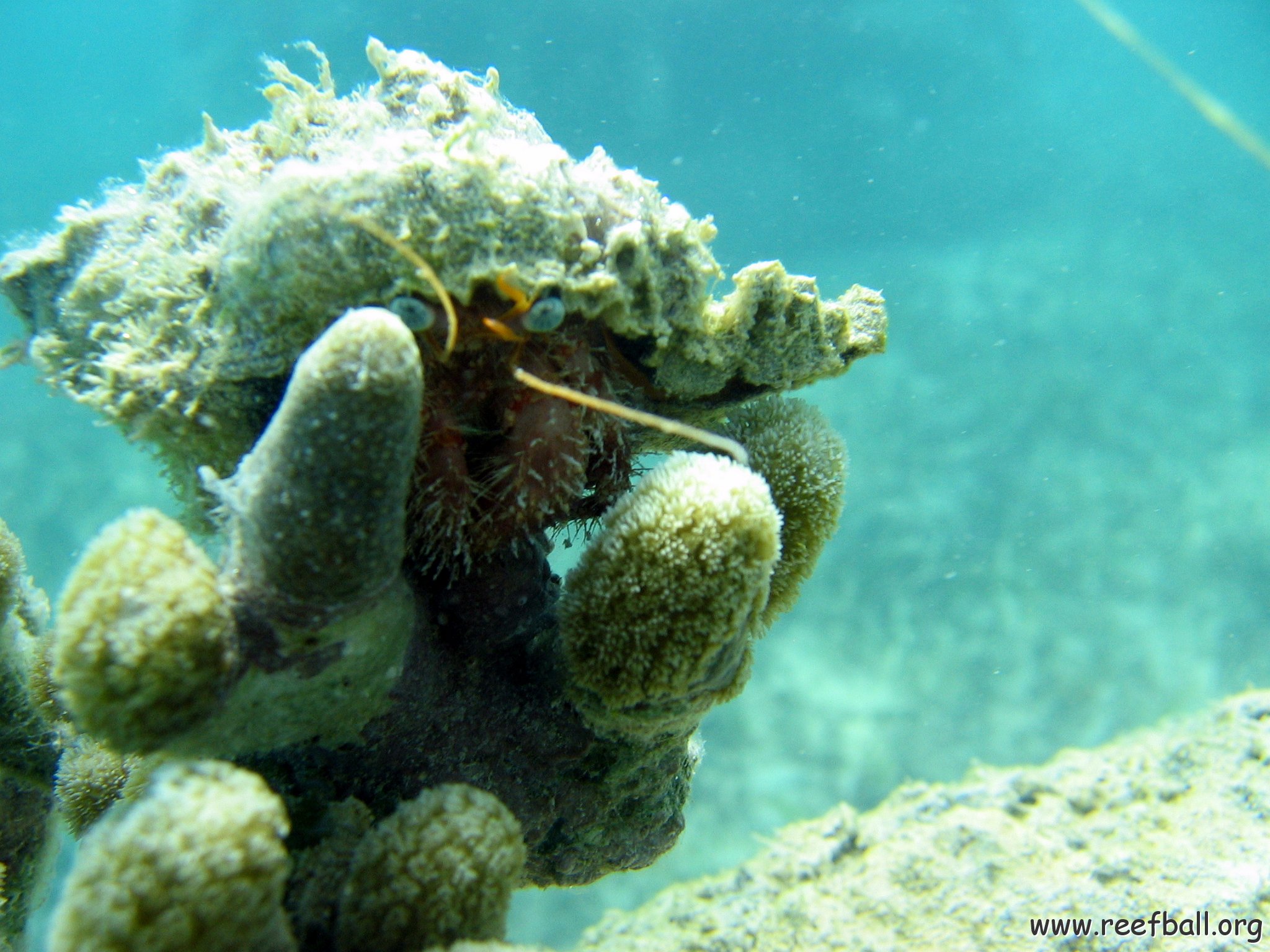 snorkeltrail_028