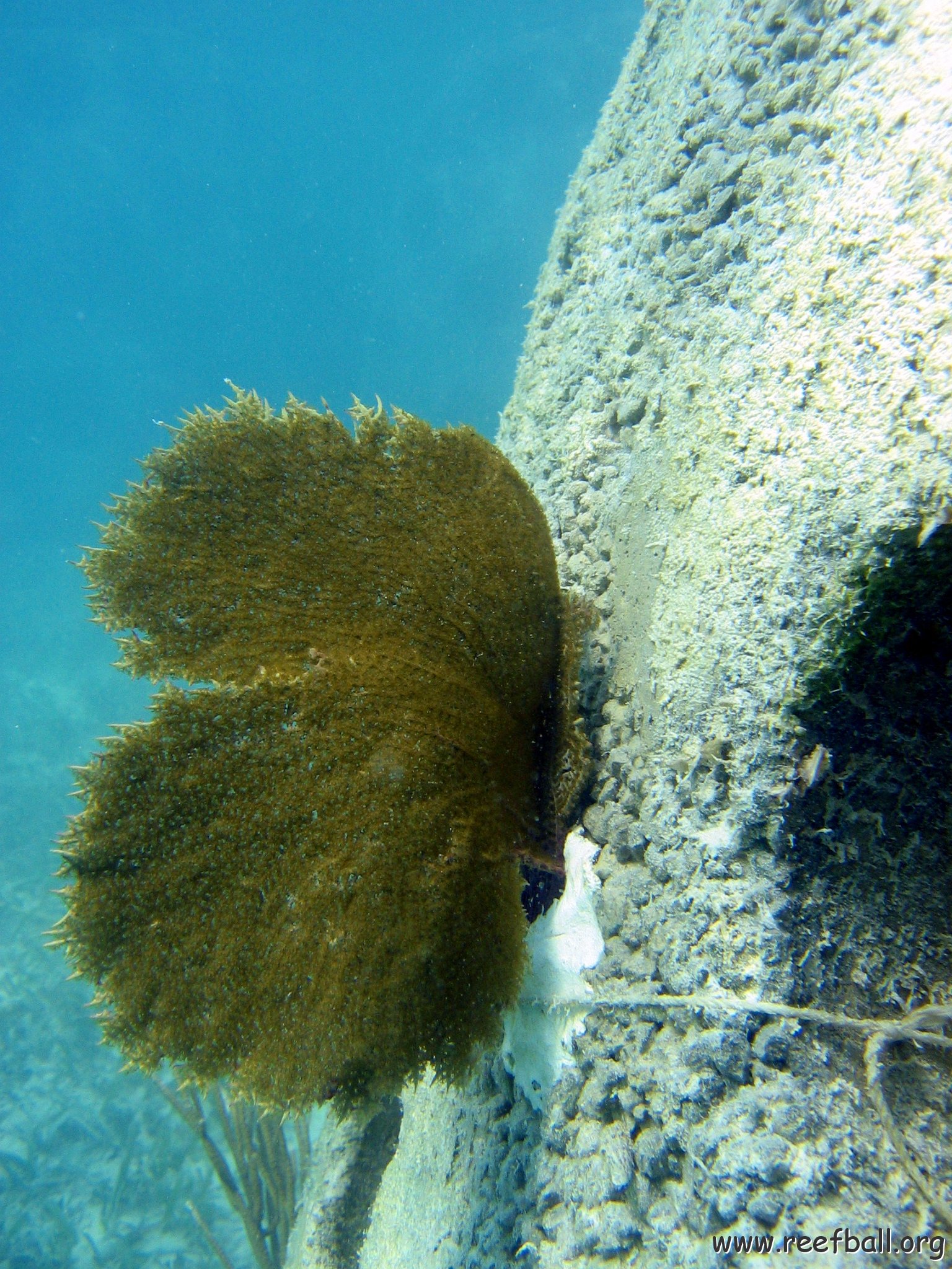 snorkeltrail_039