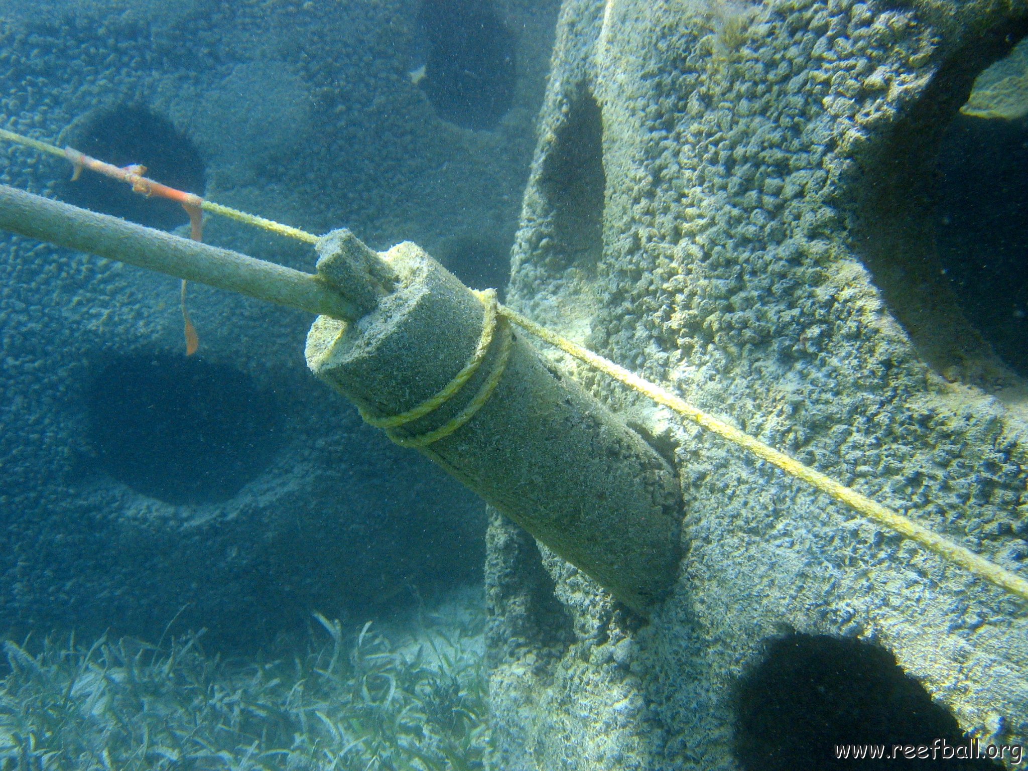 snorkeltrail_043