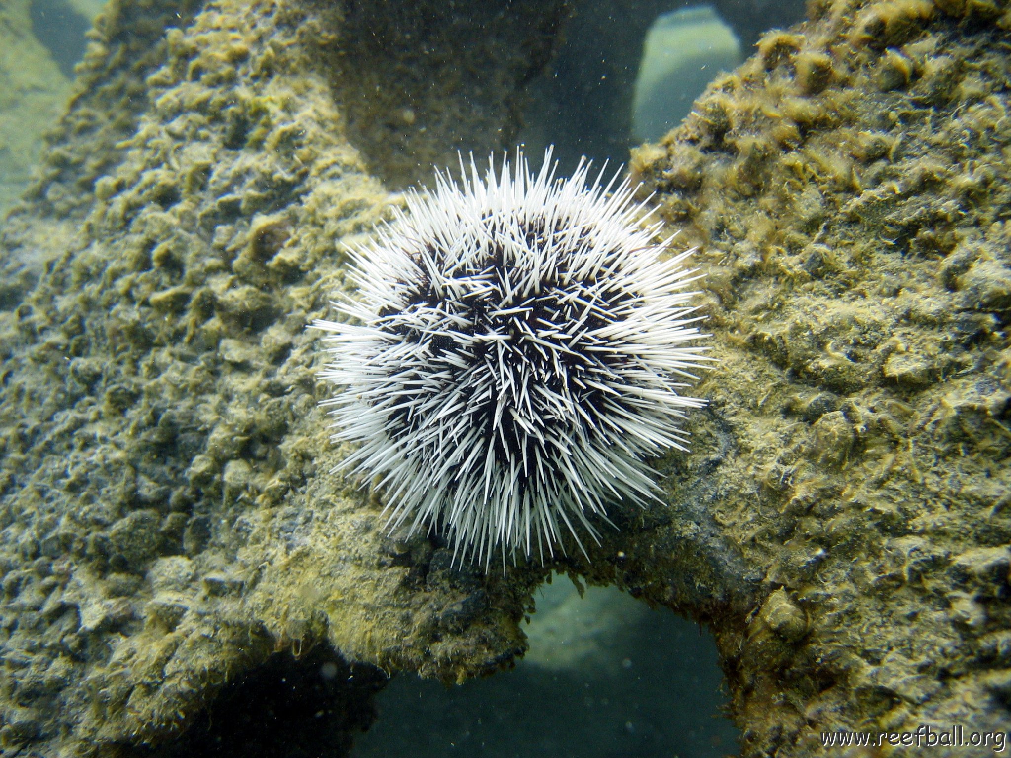 snorkeltrail_066