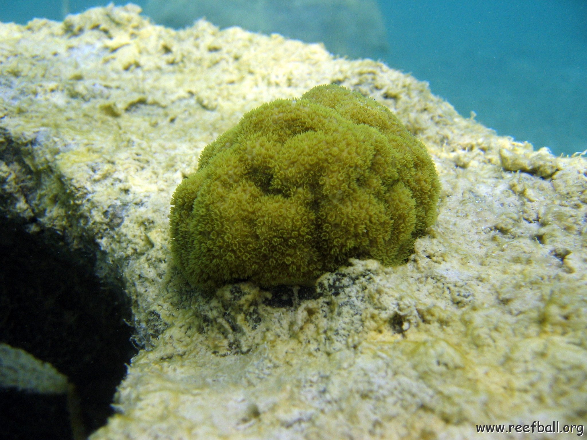 snorkeltrail_068