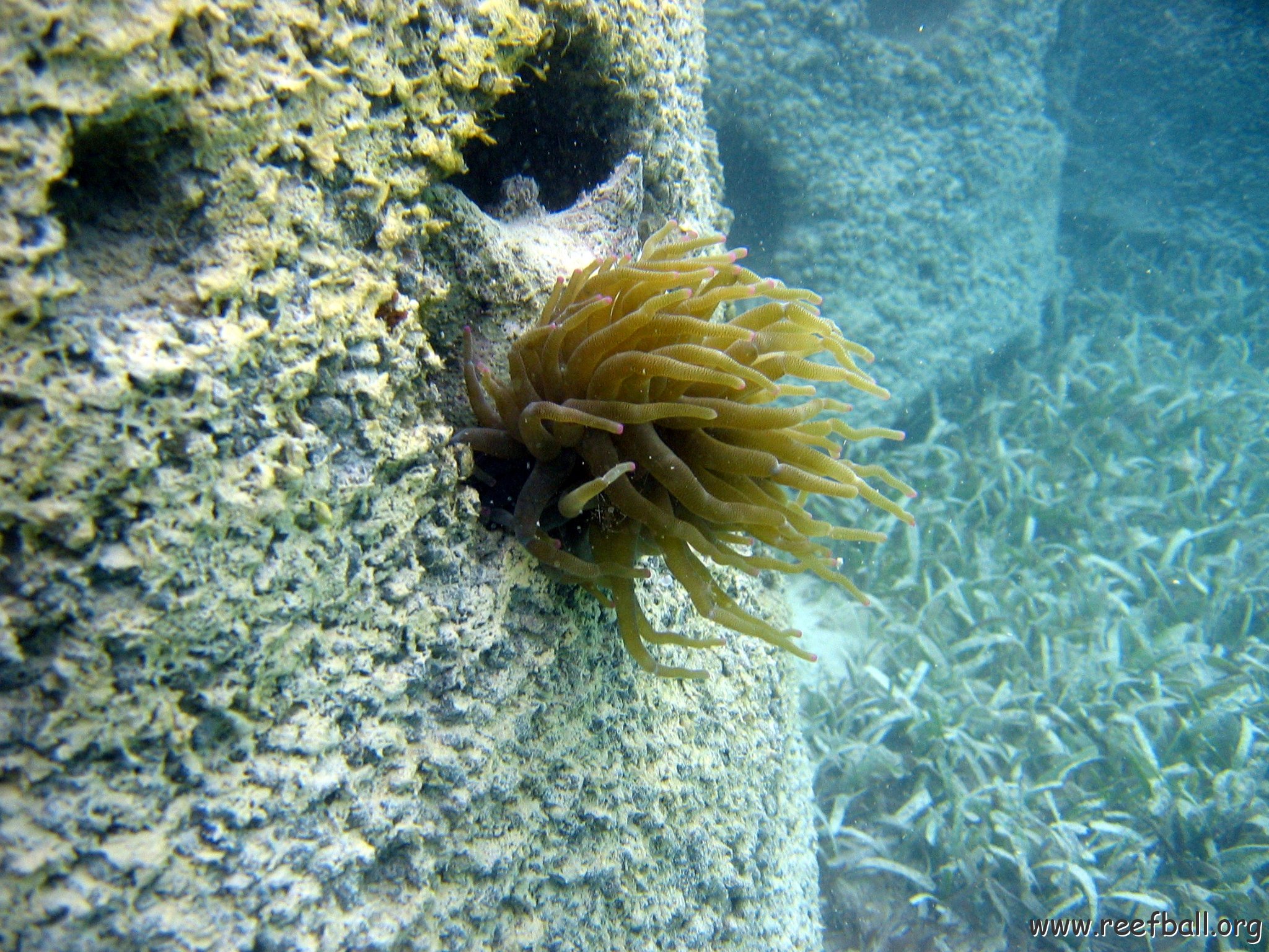 snorkeltrail_073