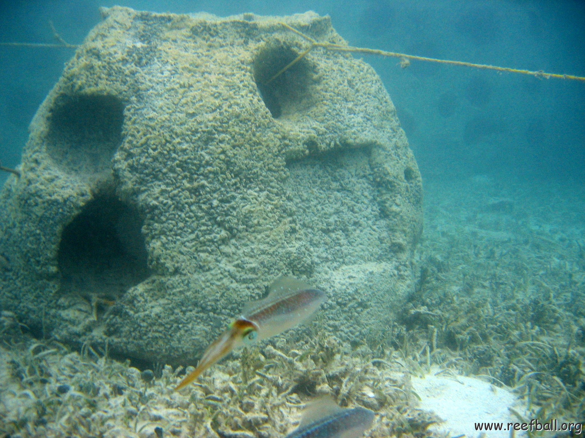 snorkeltrail_084