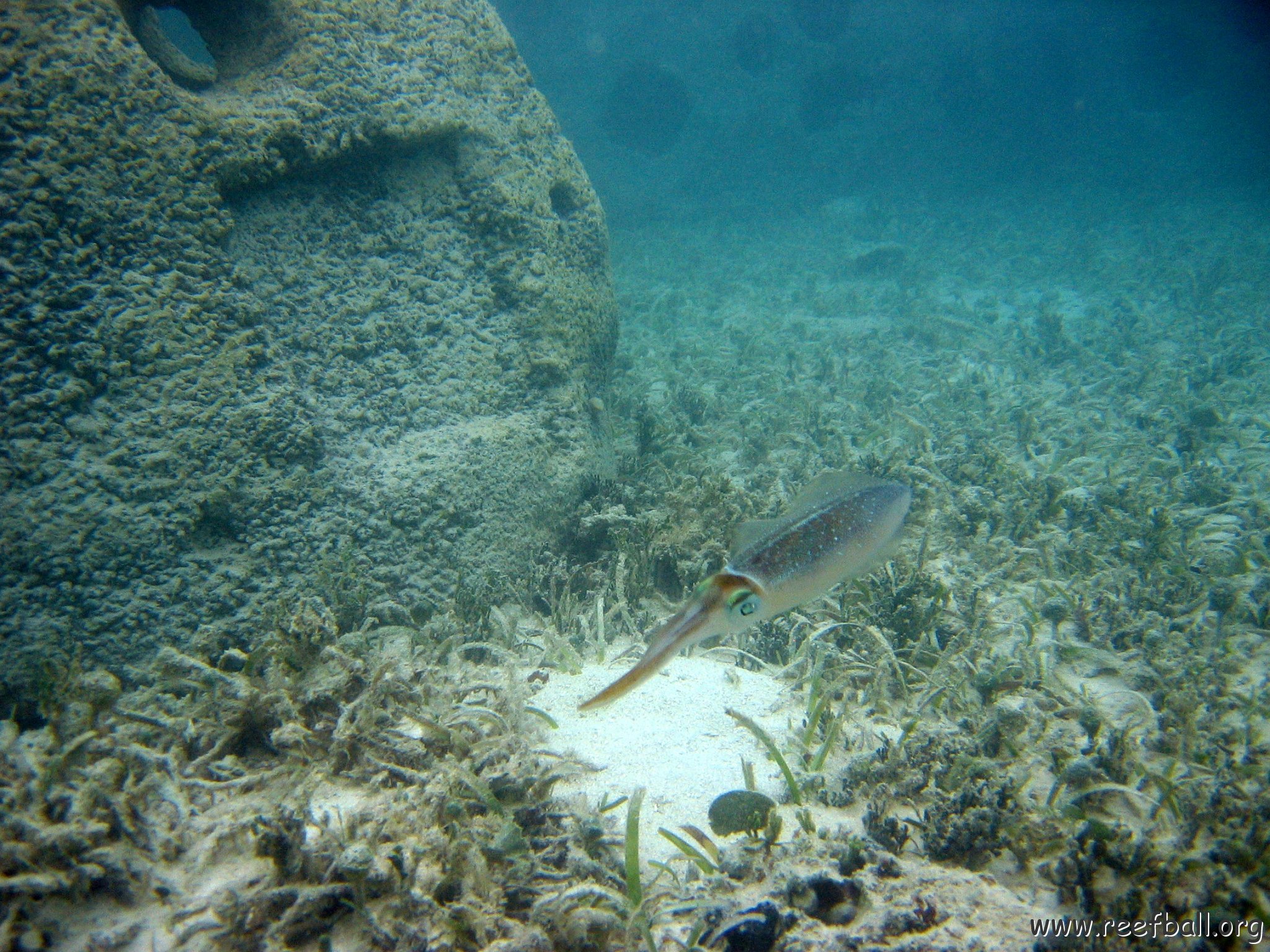 snorkeltrail_085