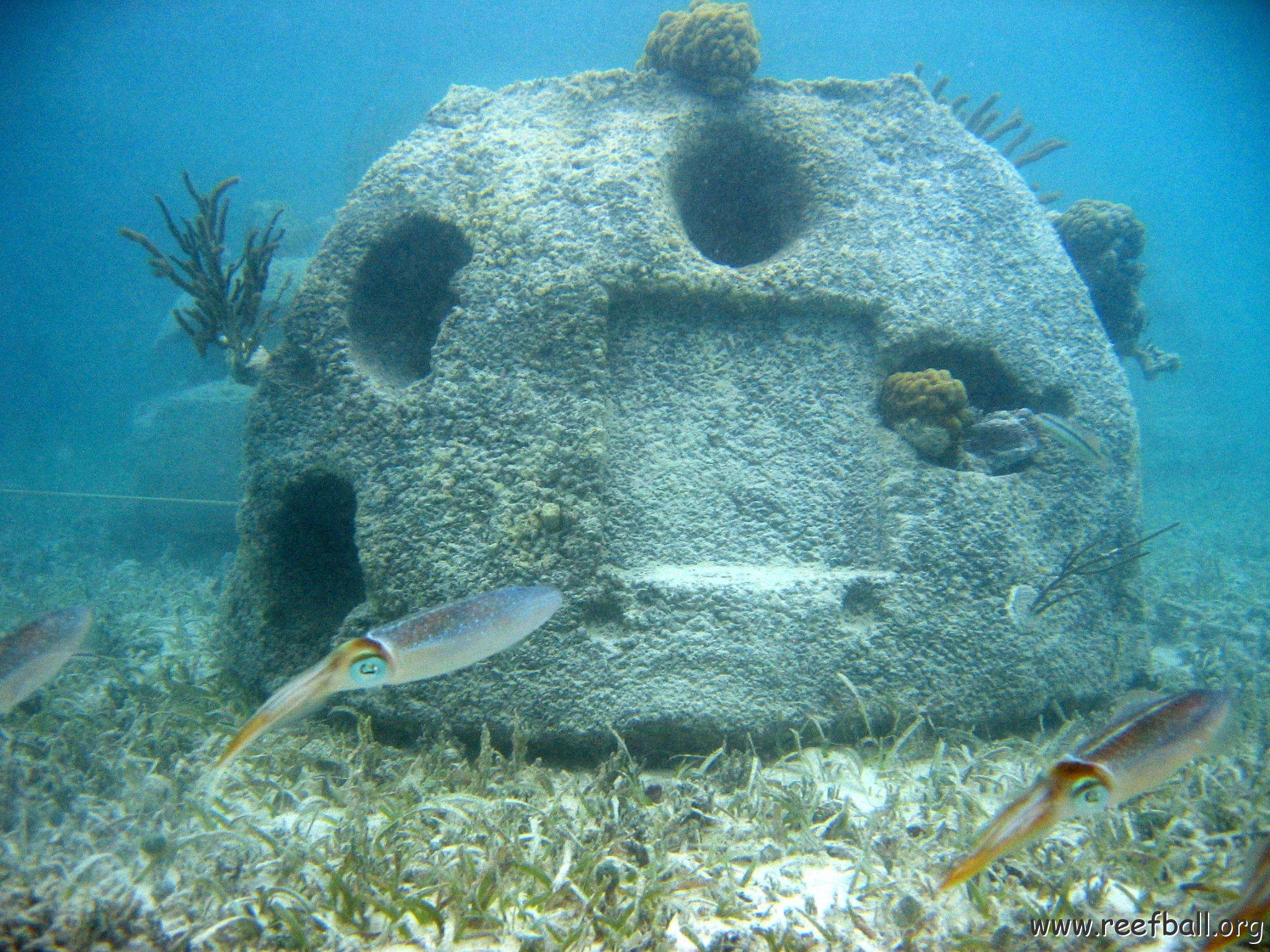 snorkeltrail_090