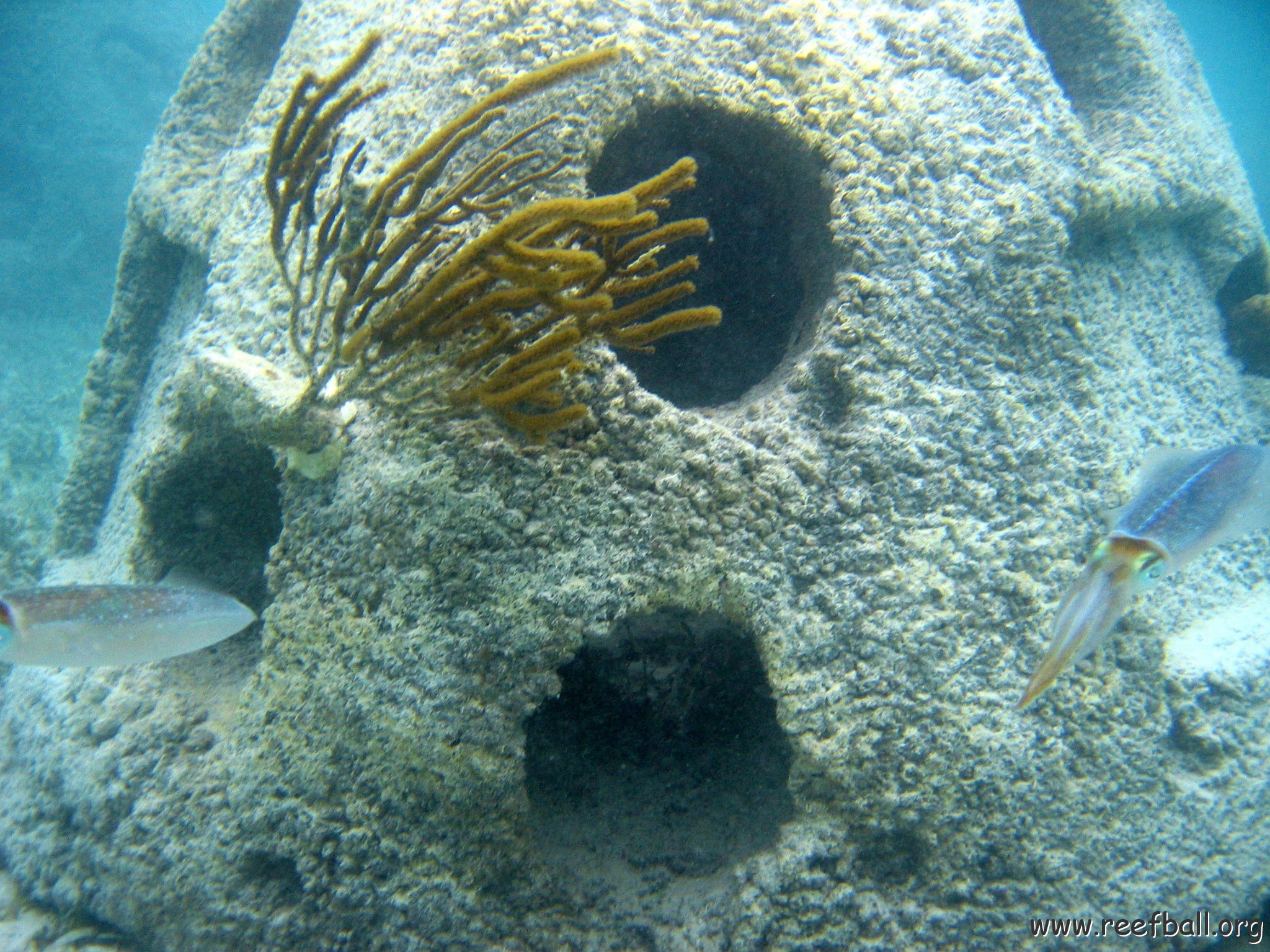 snorkeltrail_095