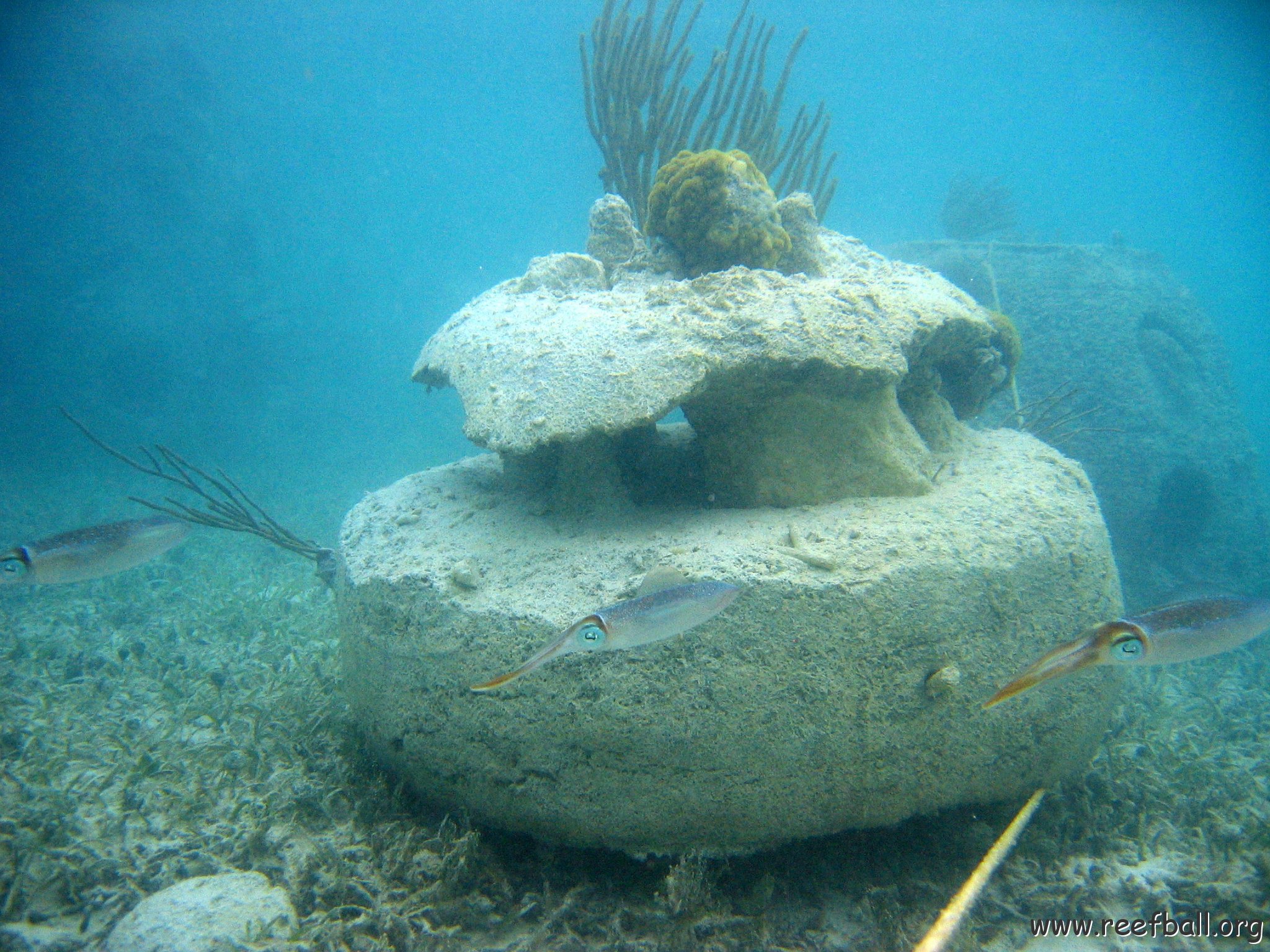 snorkeltrail_106