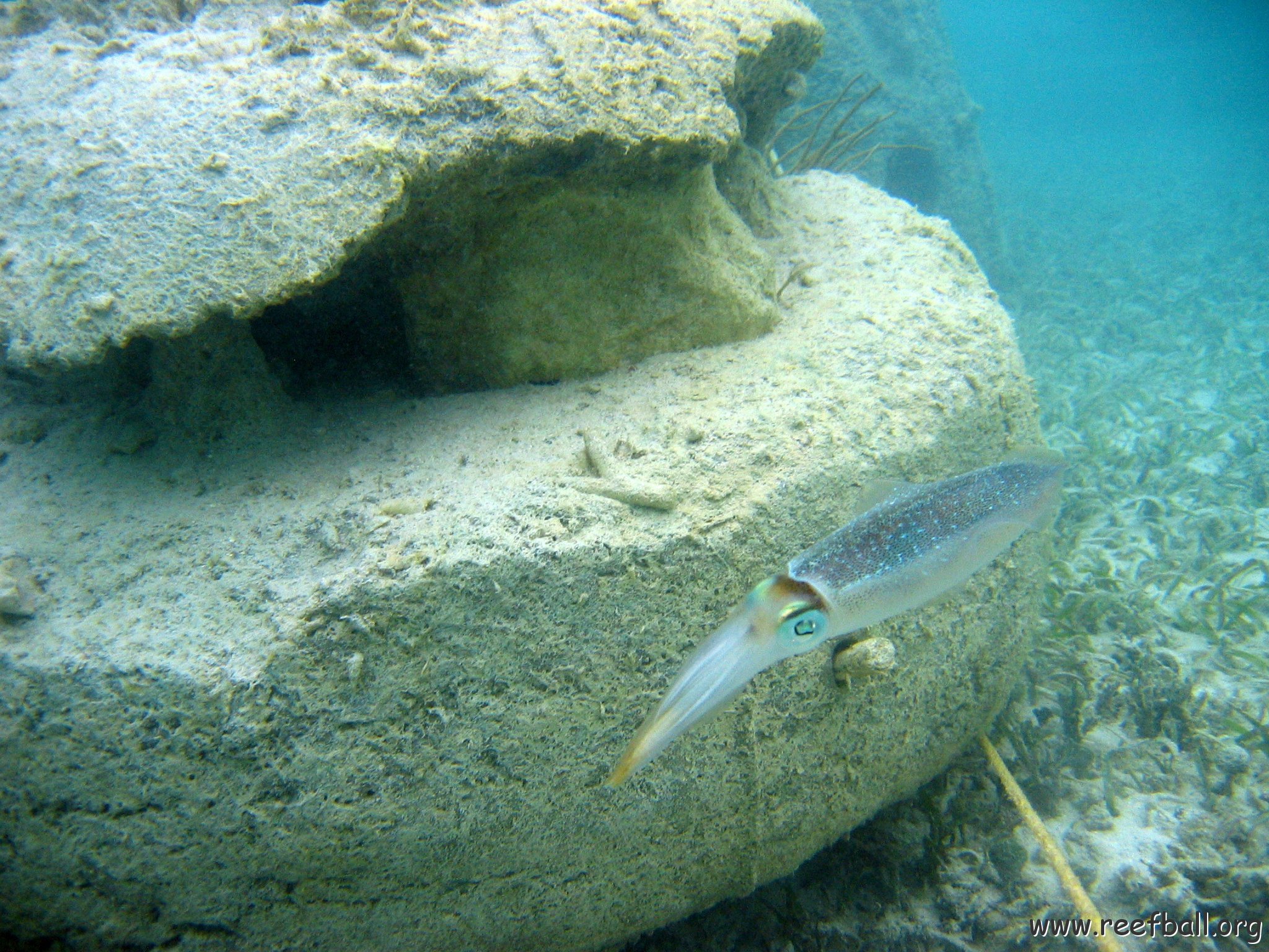 snorkeltrail_108