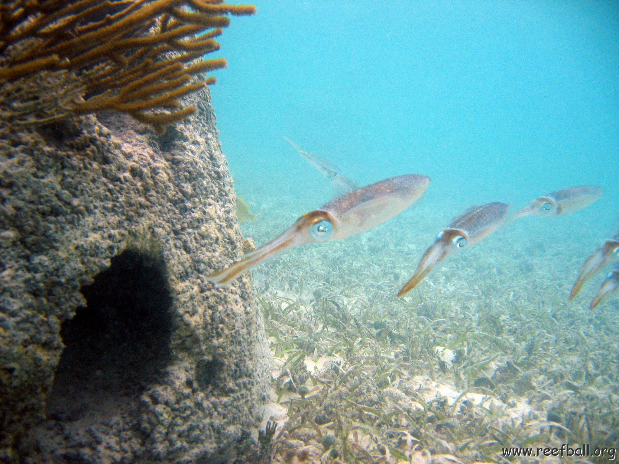 snorkeltrail_112