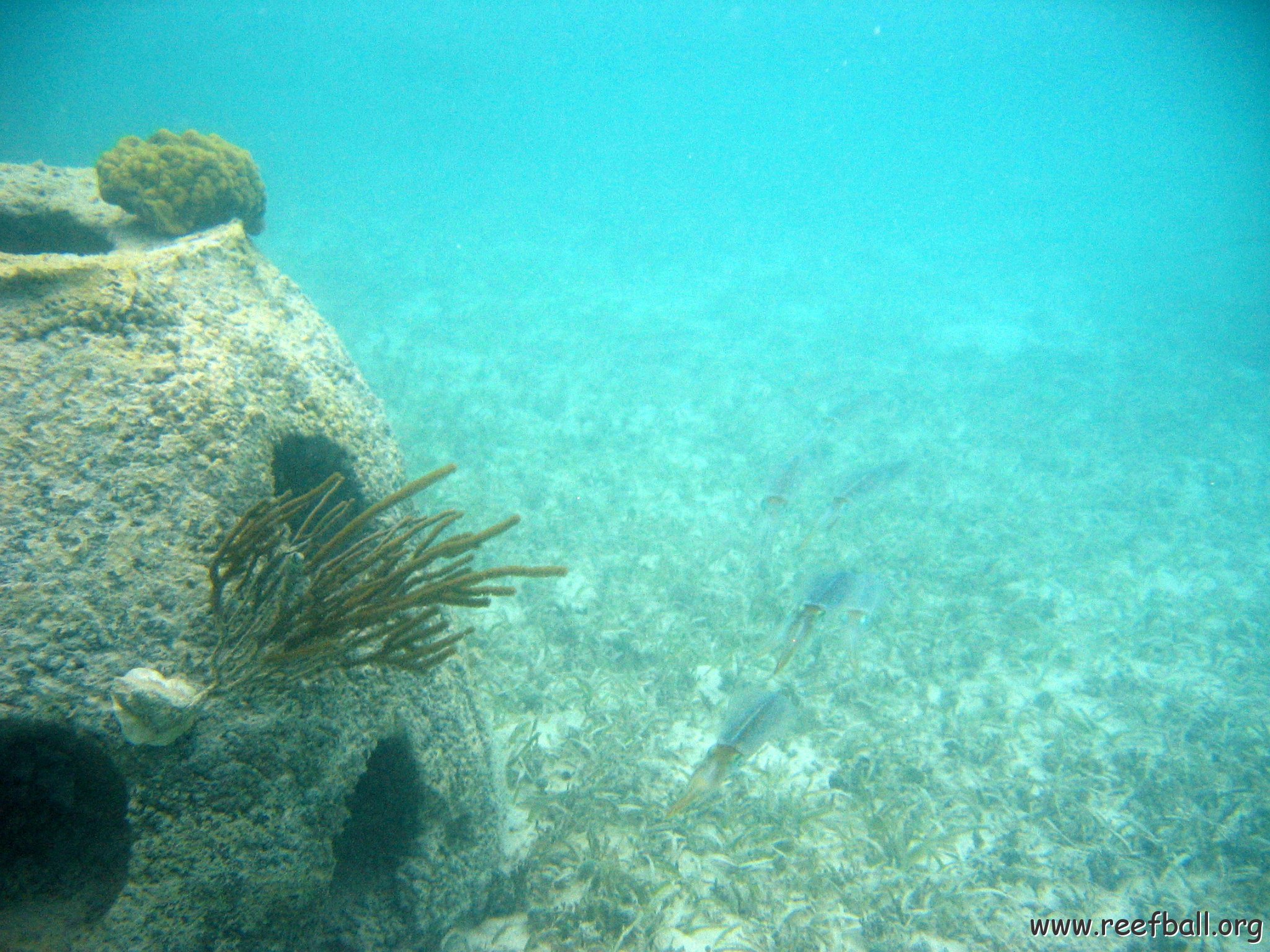 snorkeltrail_113