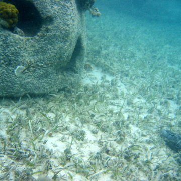 snorkeltrail_076