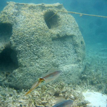 snorkeltrail_084