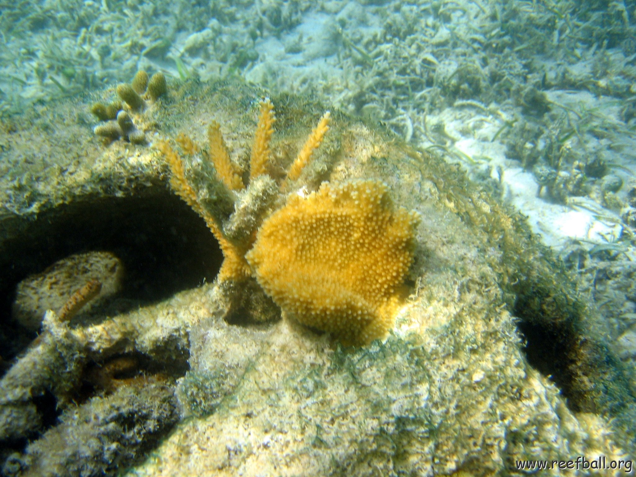 snorkeltrail_004