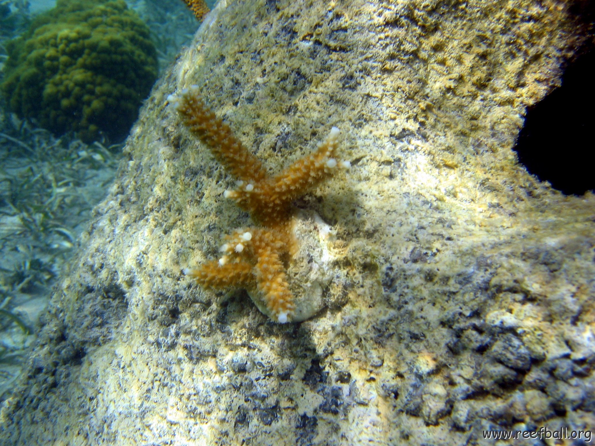 snorkeltrail_007