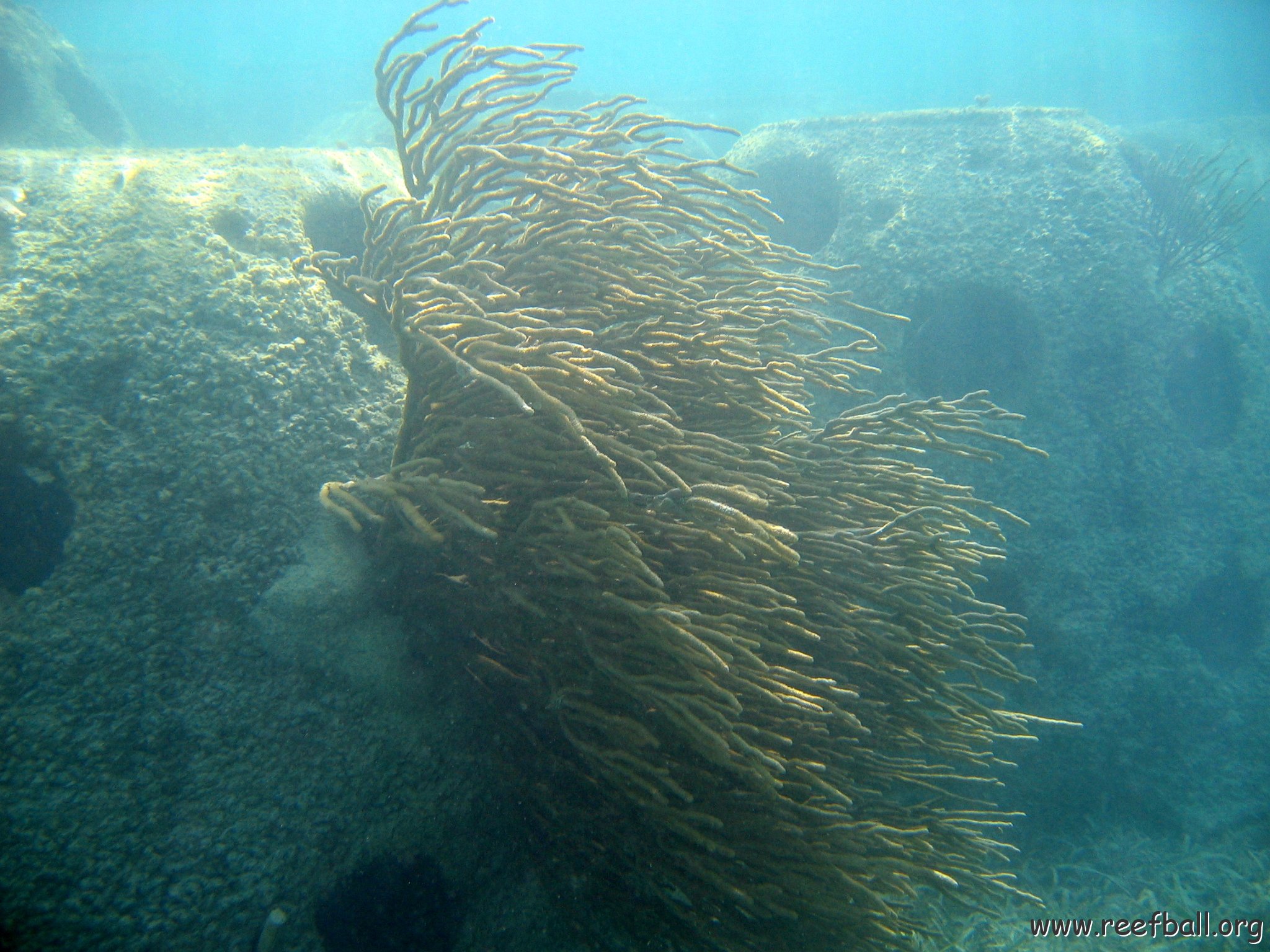 snorkeltrail_009