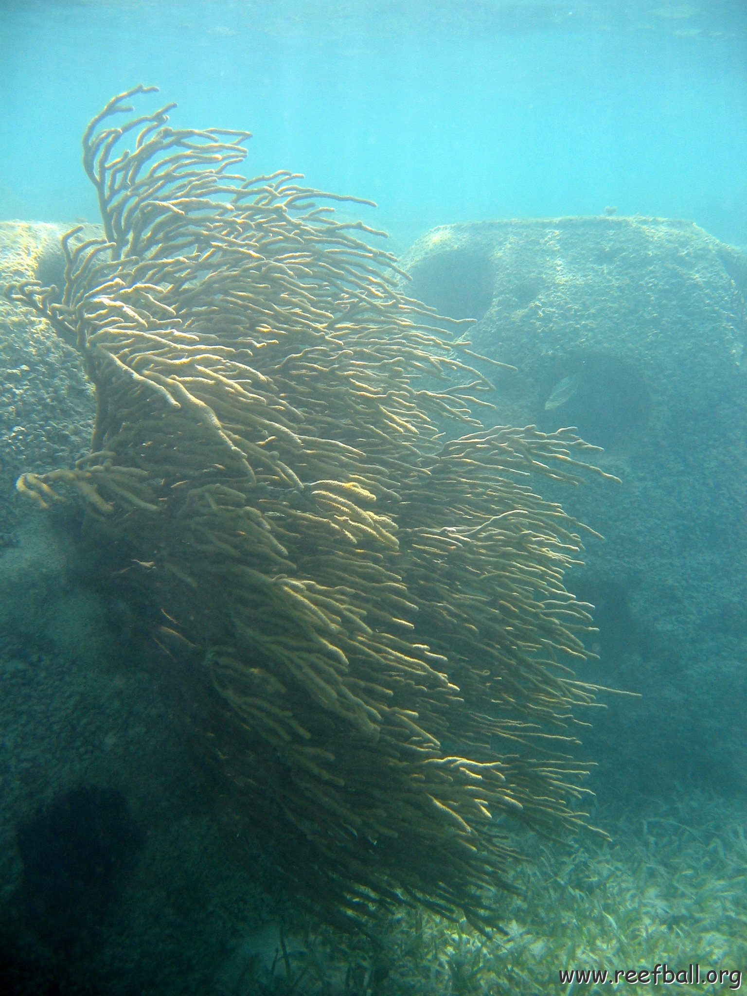 snorkeltrail_010