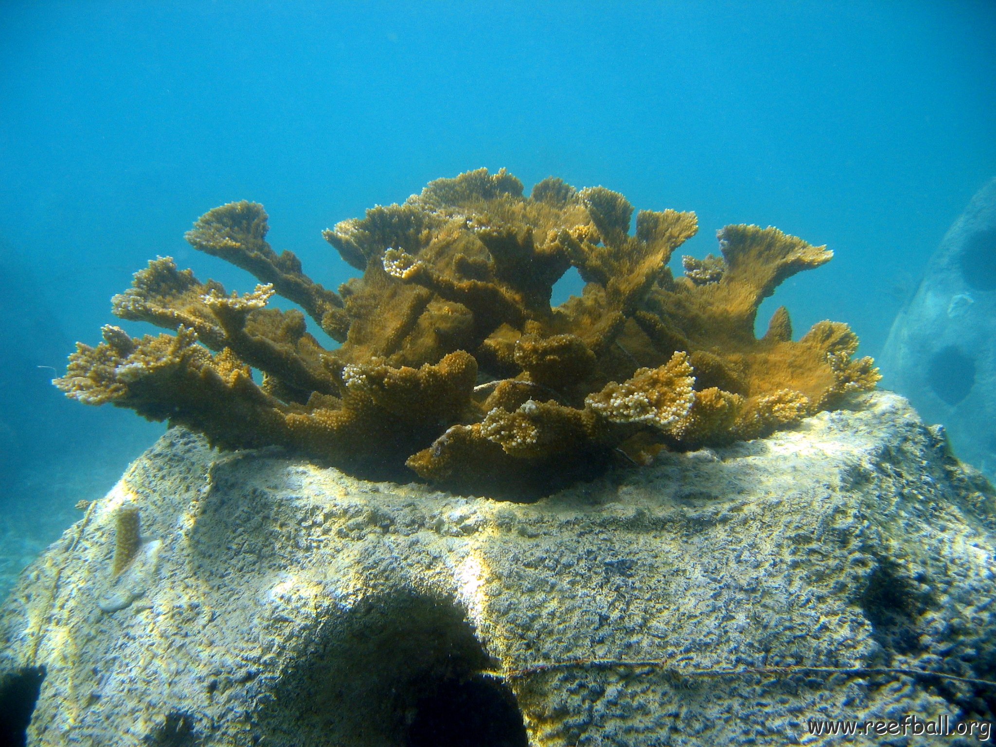 snorkeltrail_011