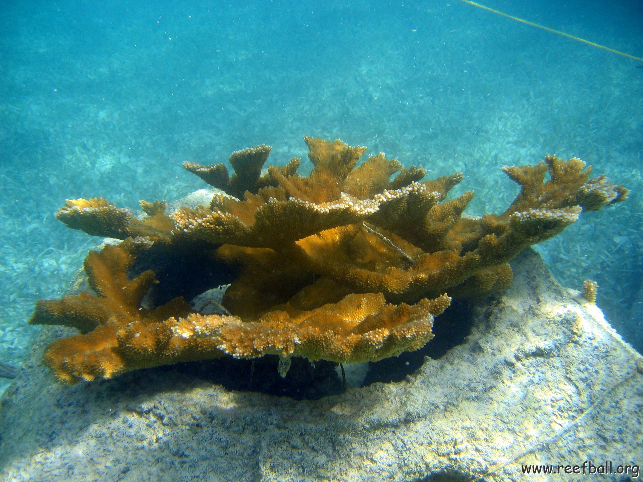 snorkeltrail_012