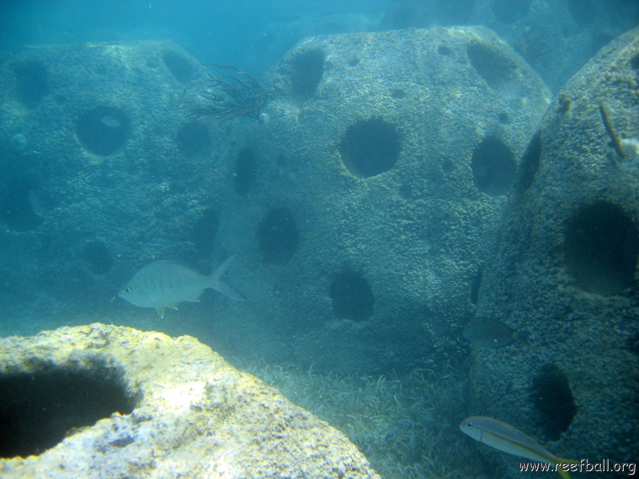 snorkeltrail_013