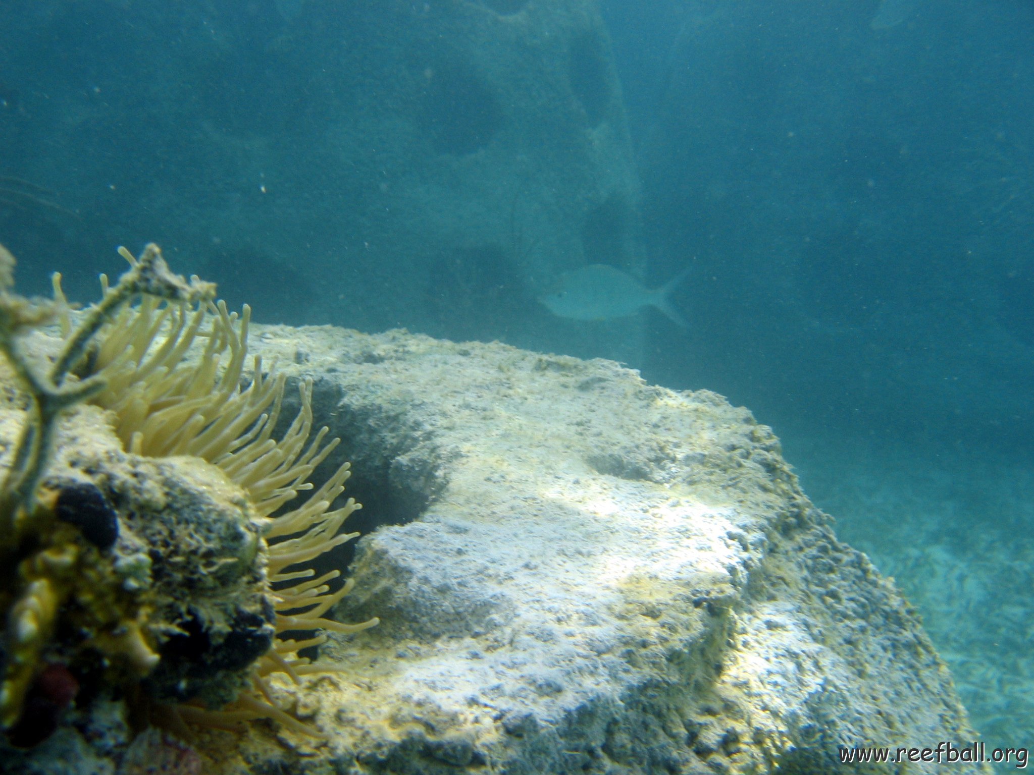 snorkeltrail_015