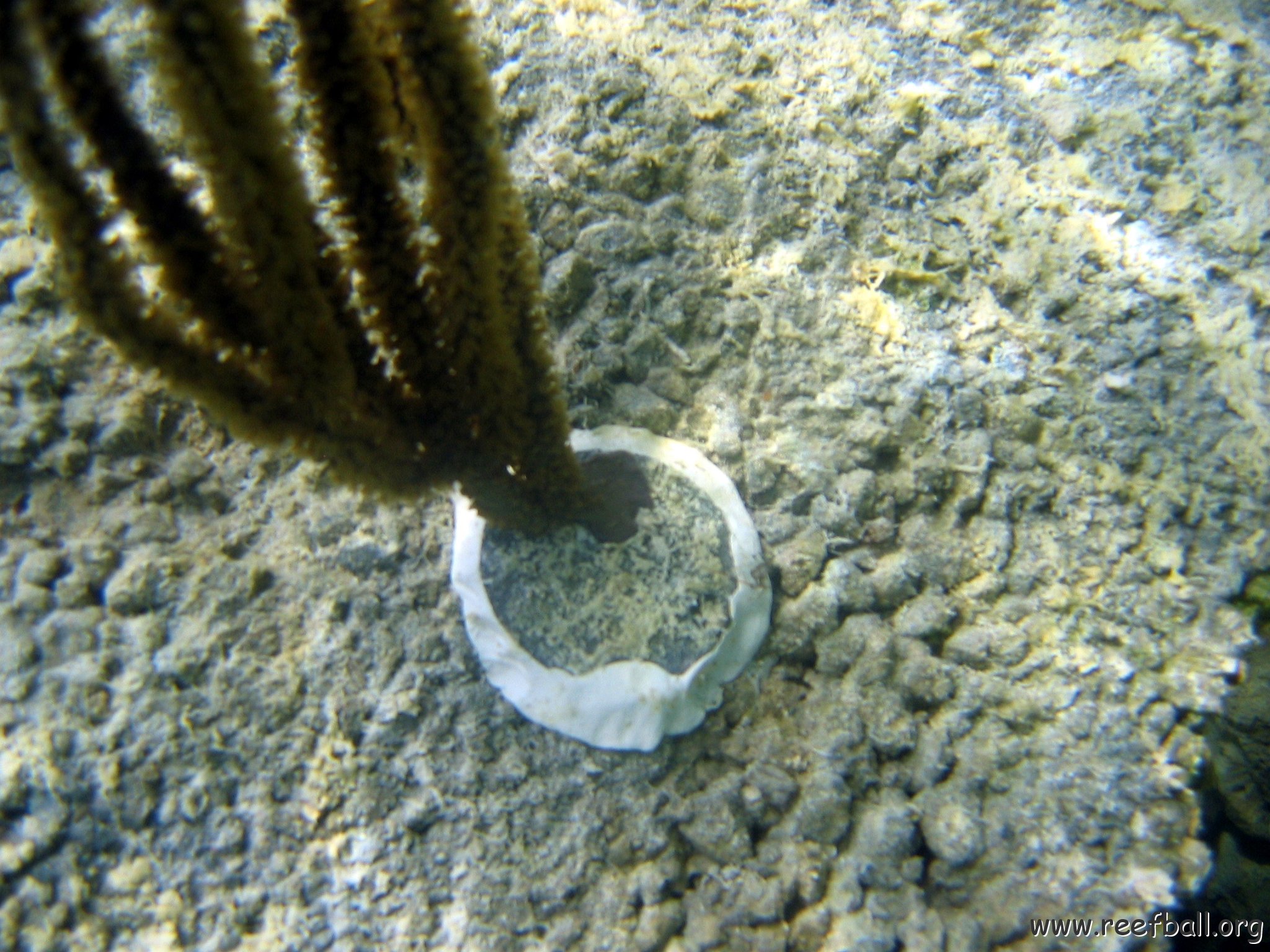 snorkeltrail_017