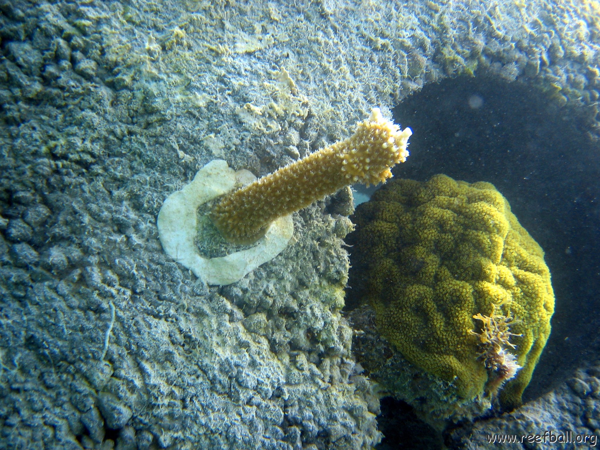 snorkeltrail_018