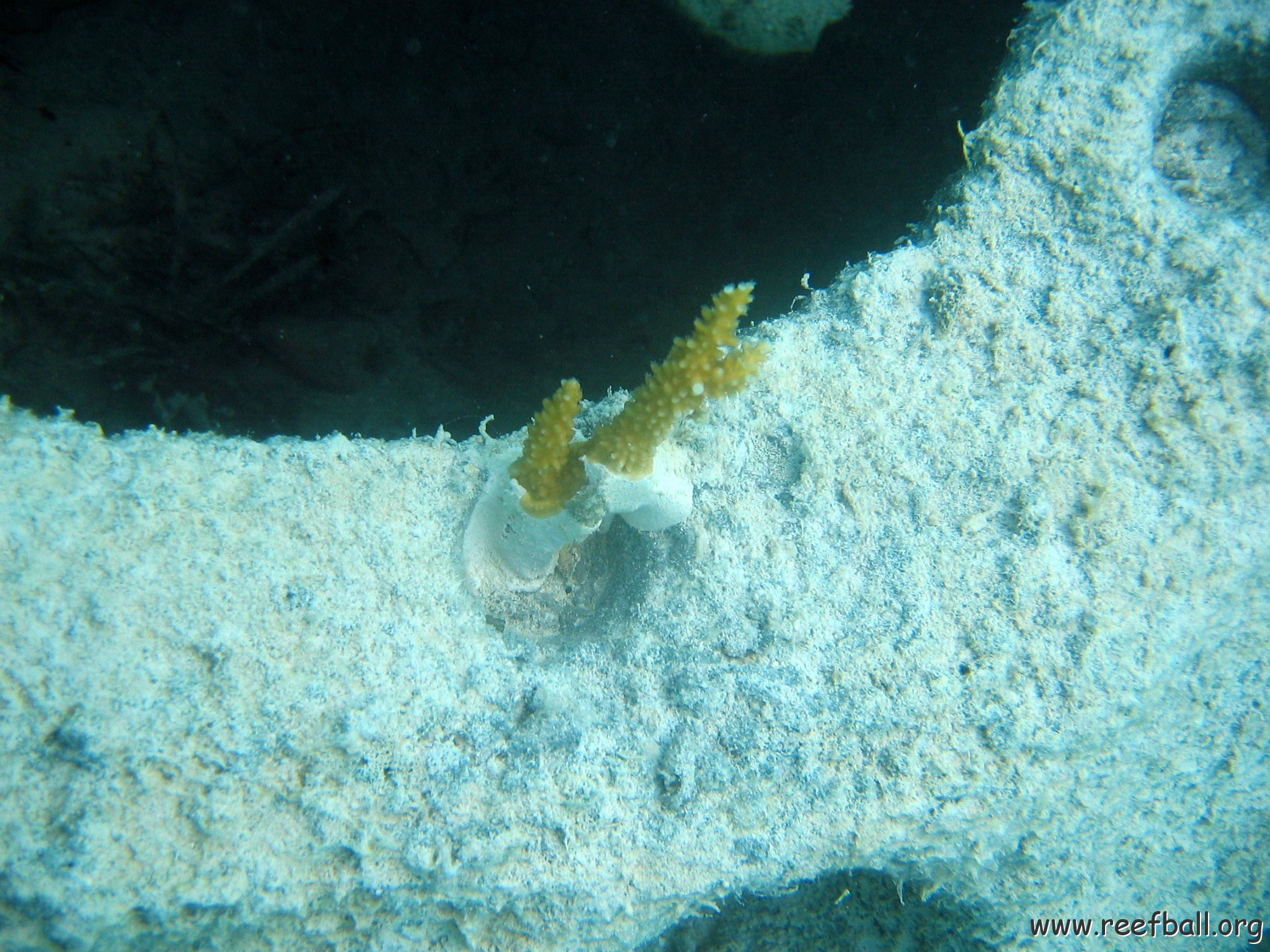 snorkeltrail_024