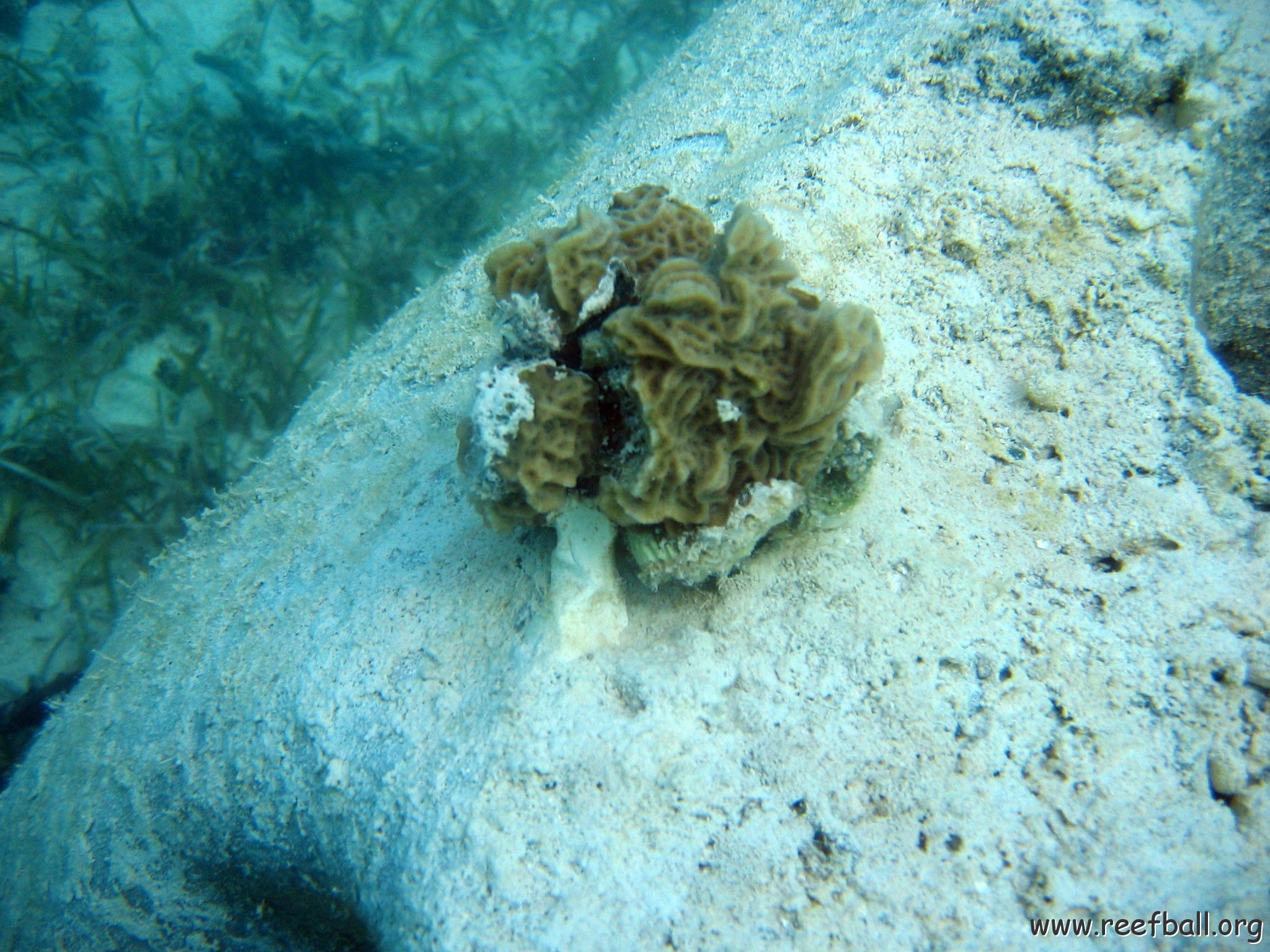 snorkeltrail_025