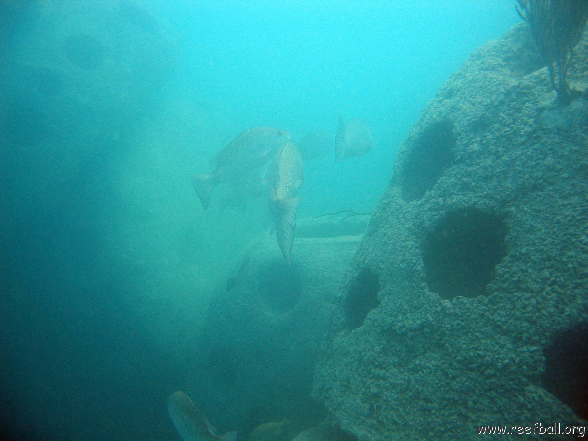 snorkeltrail_027