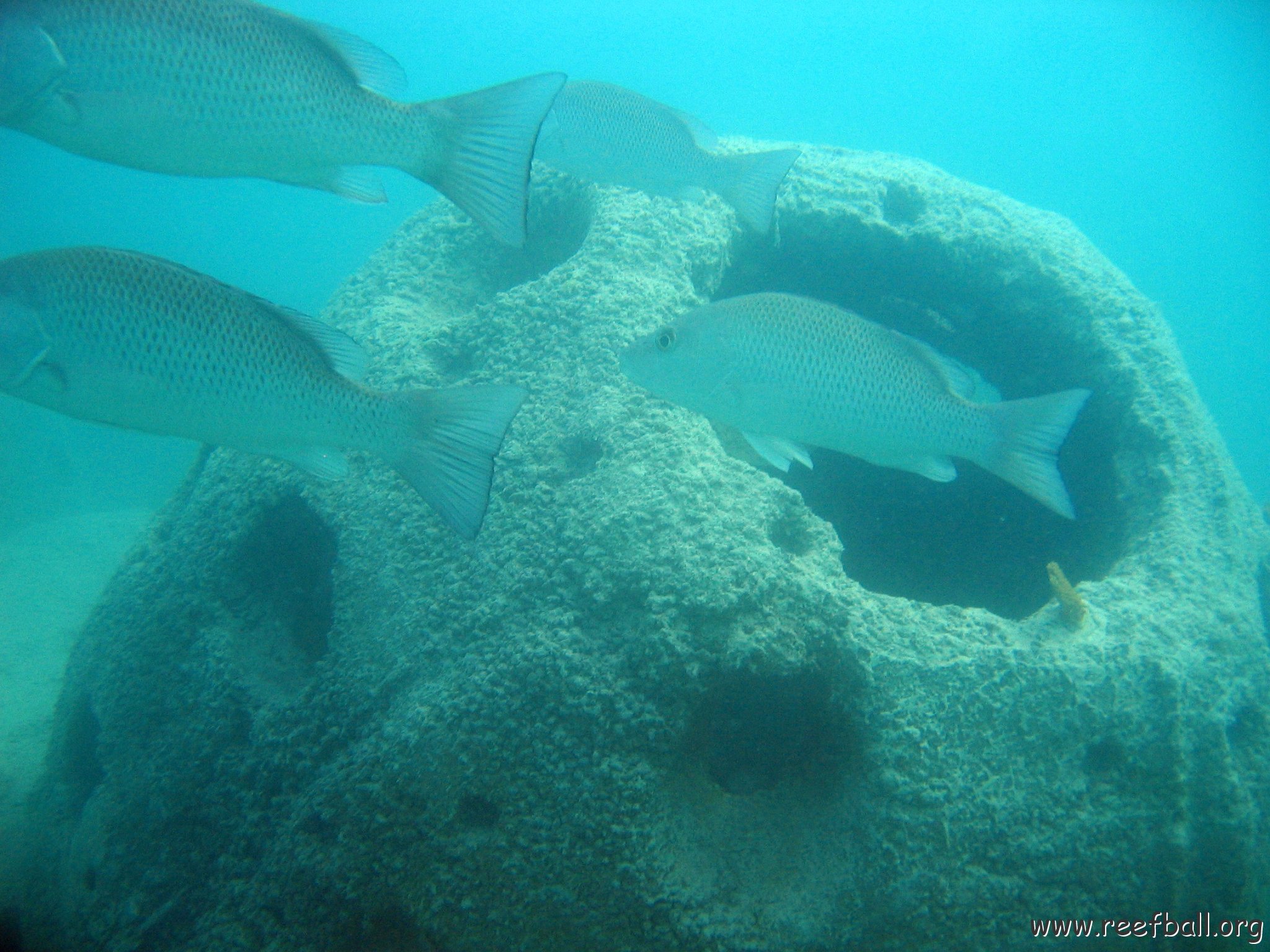 snorkeltrail_029