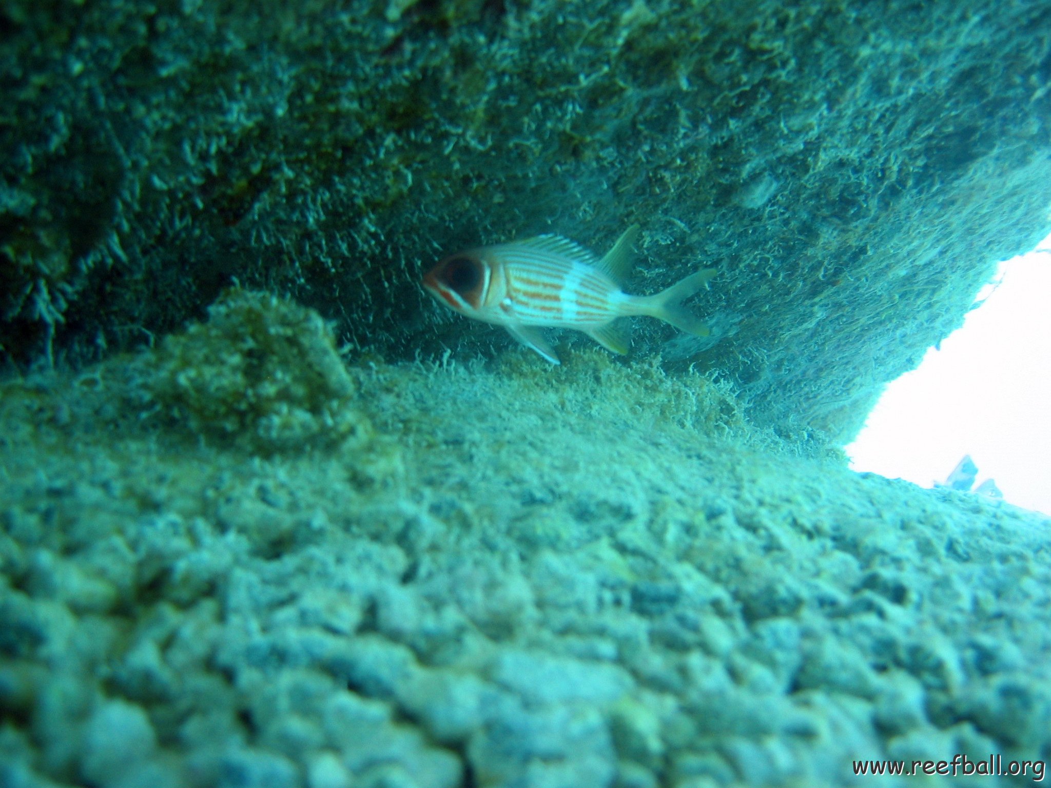 snorkeltrail_031