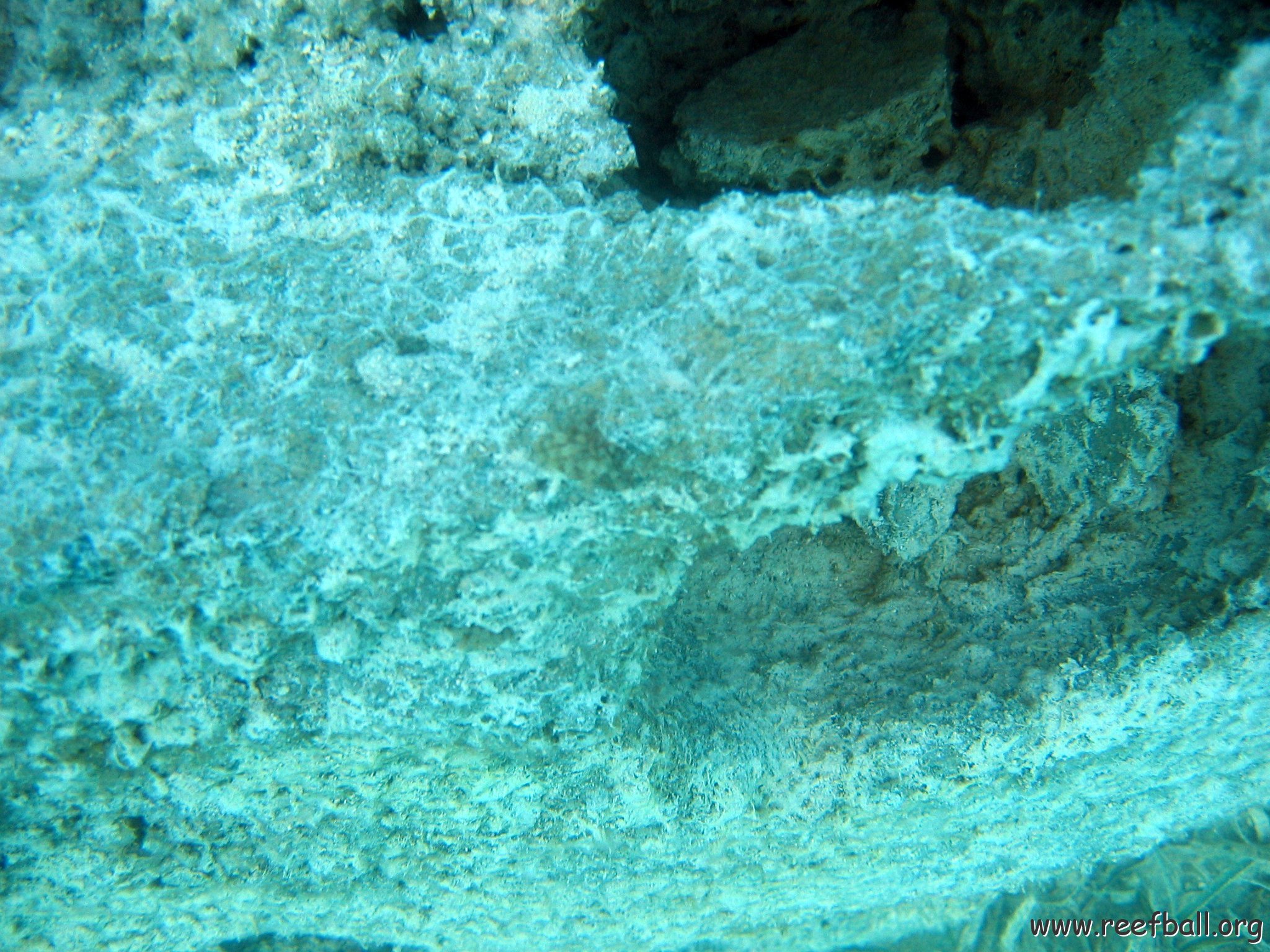 snorkeltrail_034