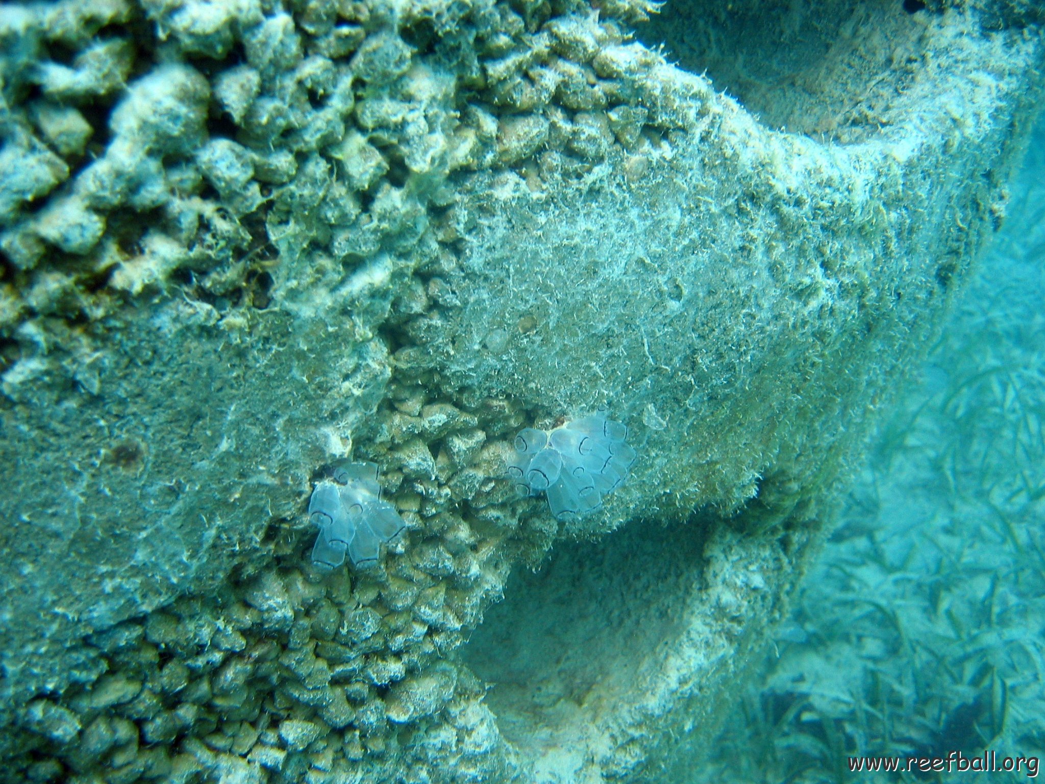 snorkeltrail_035