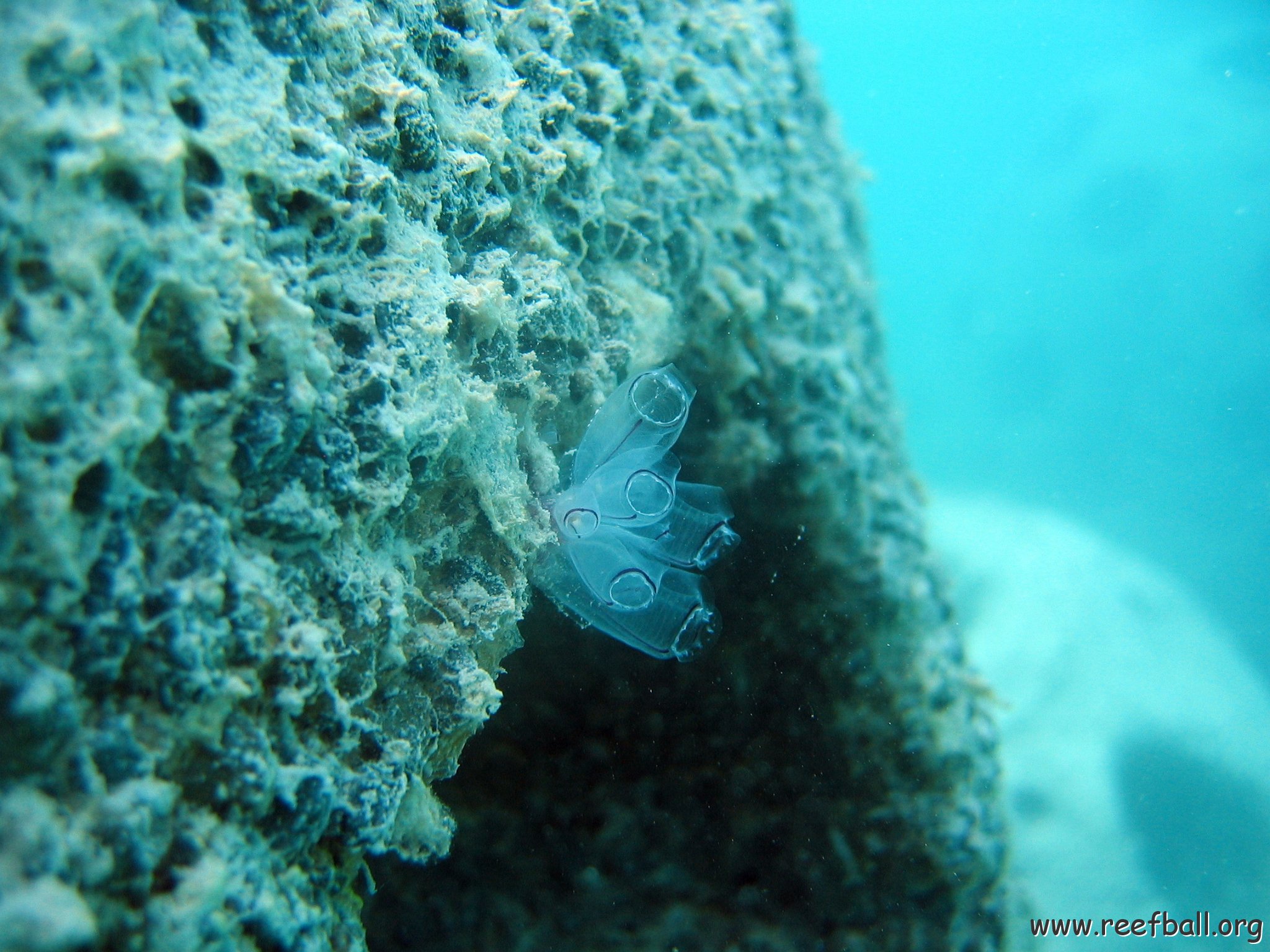 snorkeltrail_036