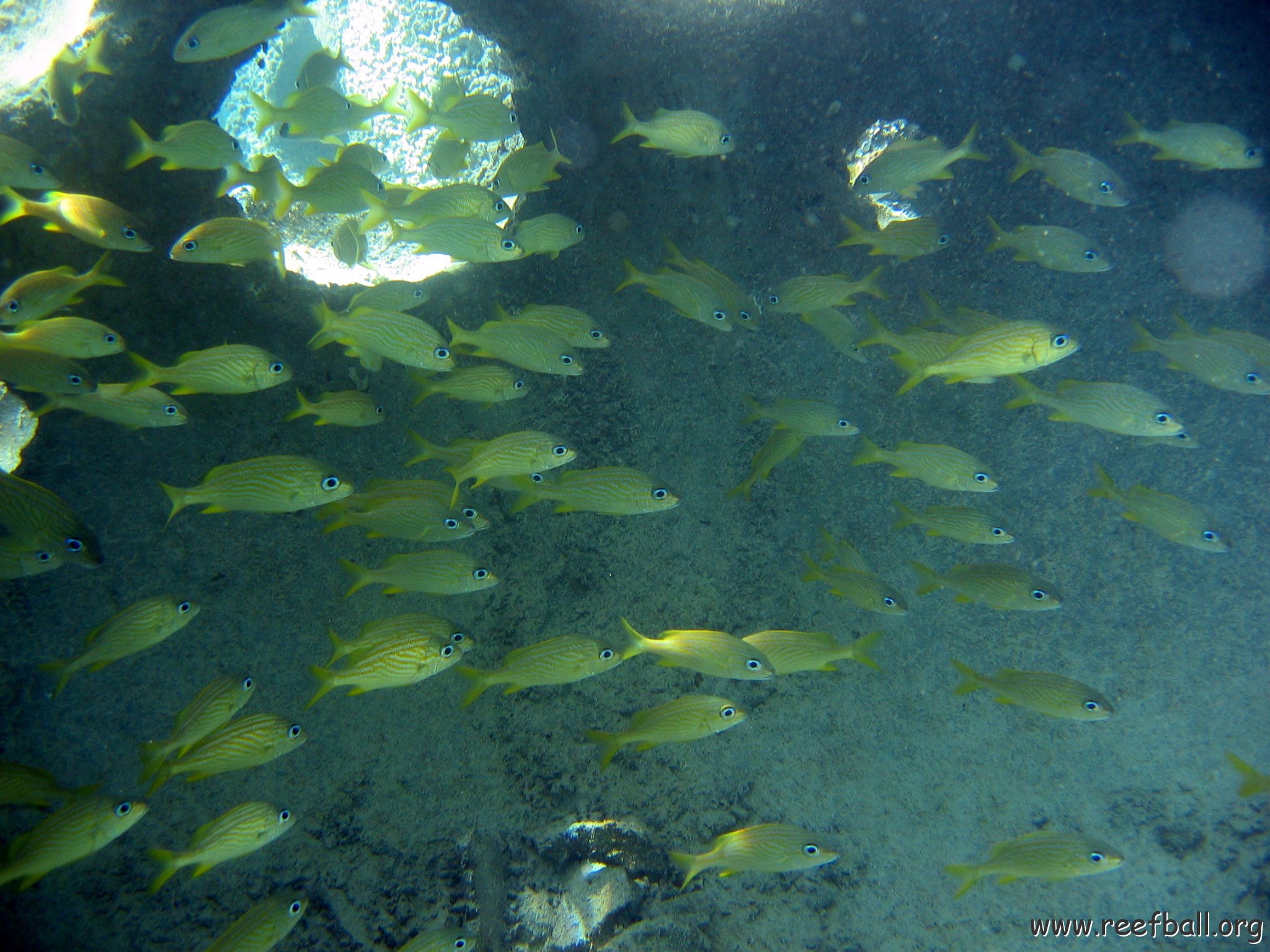 snorkeltrail_046