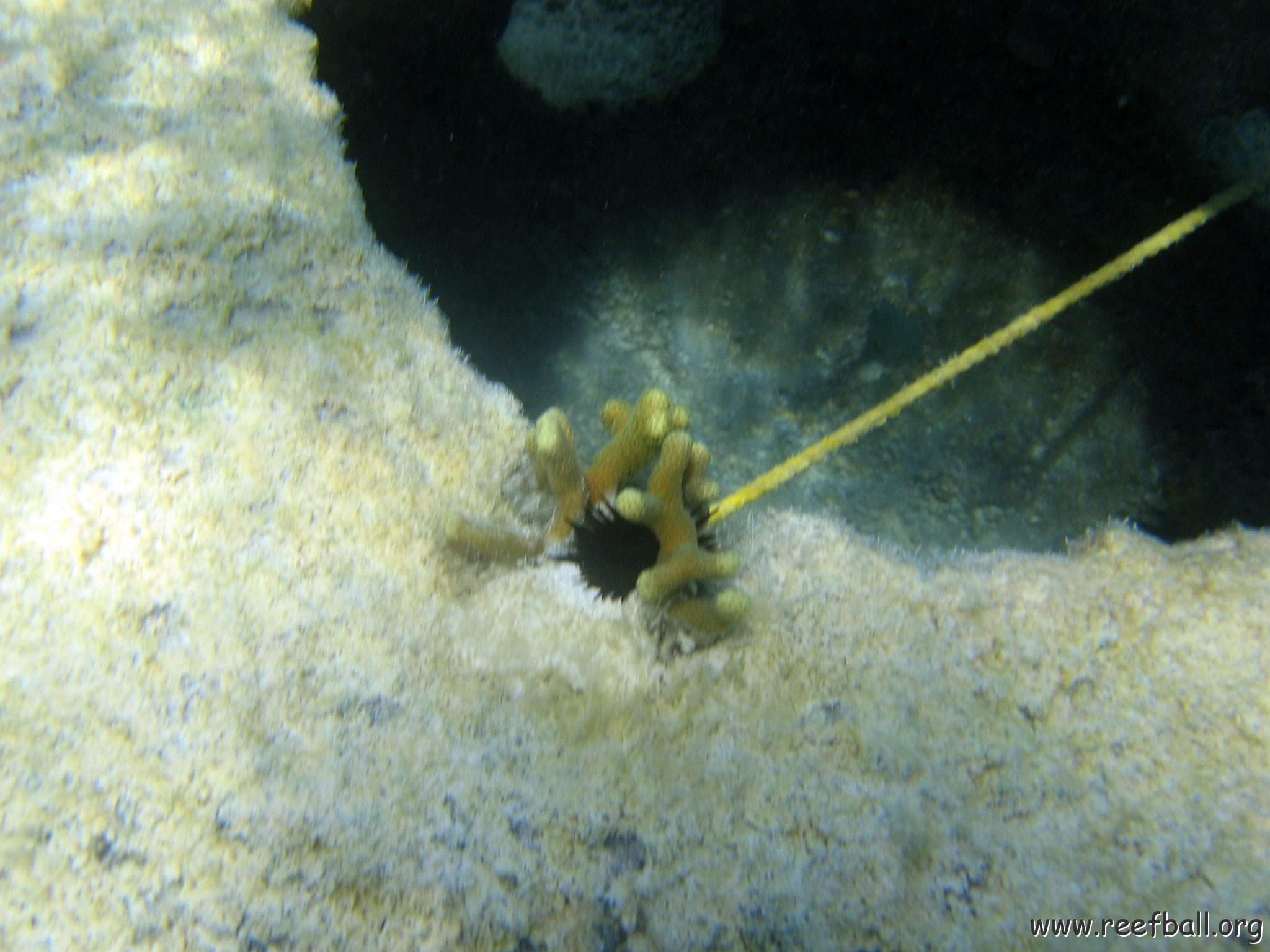 snorkeltrail_050