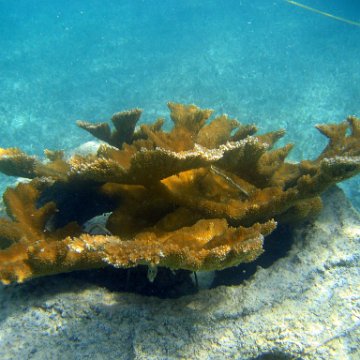 snorkeltrail_012